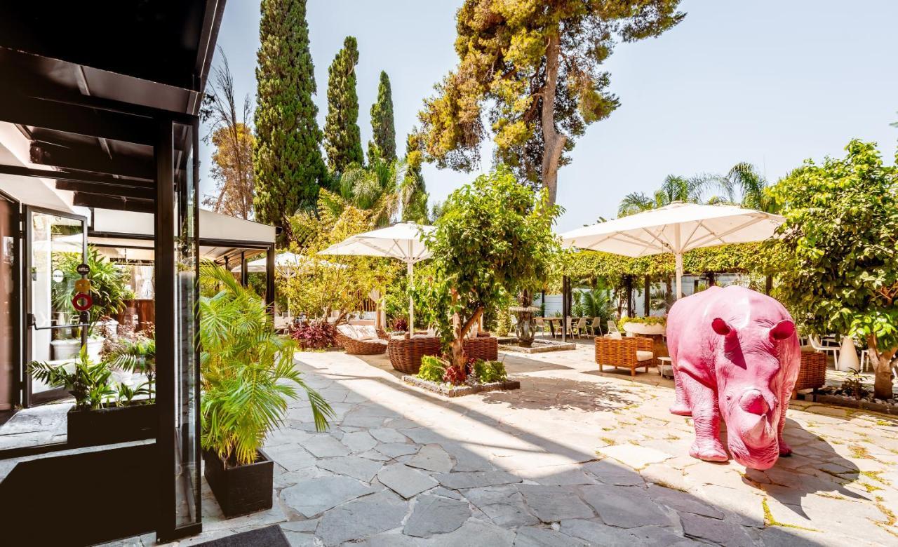 Lear Sense Hotel Gedera エクステリア 写真
